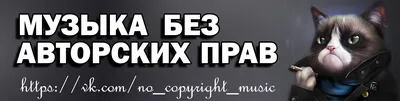 Как не попасть на авторское право, используя чужой фото контент и видео  контент | Школа, Видео, Правила