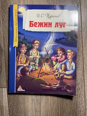 Бежин луг Тургенева: краткое содержание, мальчики и их рассказы. 6