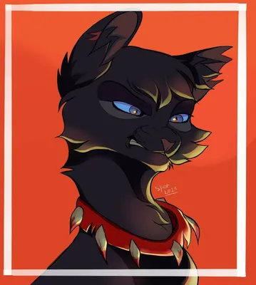 Бич коты воители | Warrior cats scourge, Warrior cats, Warrior cats art