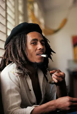 Боб Марли (Bob Marley) / смешные картинки и другие приколы: комиксы, гиф  анимация, видео, лучший интеллектуальный юмор.
