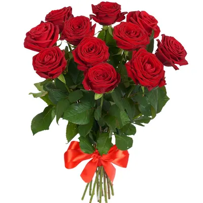 Купить Букет из 101 красной розы Премиум (70 см) с доставкой в Омске -  магазин цветов Трава