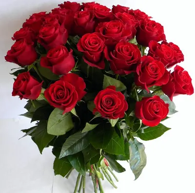 Букет из роз с хлопком - Доставка свежих цветов в Красноярске
