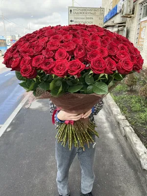 Шикарный букет из 101 красной розы премиум - 32996 букетов в Москве! Цены  от 707 руб. Зеленая Лиса , доставка за 45 минут!