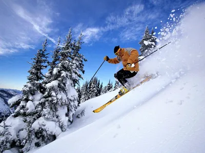 Oтель Ski Хата — отдых в Буковеле и проживание в Полянице - официальный сайт