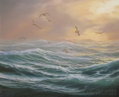 Фото: Носятся чайки над морем,крики их полны тоской.... Виктор Питерский..  Путешествия. Фотосайт Расфокус.ру