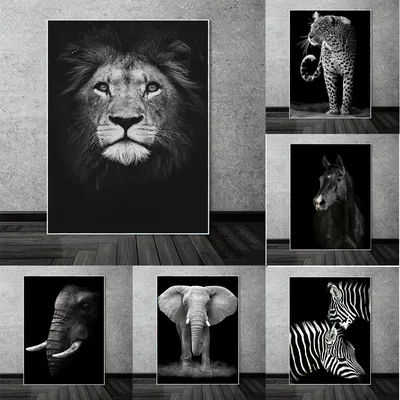 Скачать или распечатать на принтере черно-белые картинки африканские  животные для девочек