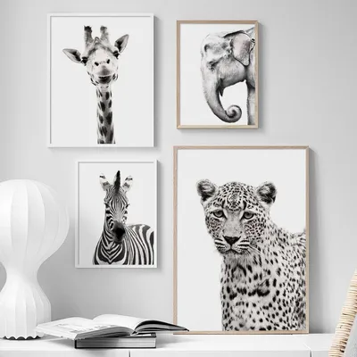 Cartoon black and white animals Stock Vector by ©virinaflora 37445681
