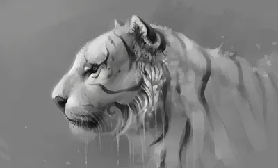 Лев чёрно белый (48 фото) | Татуировки с головой льва, Морды животных, Лев
