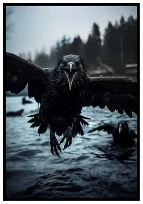 В чем отличие чёрного ворона от серых ворон?» — Яндекс Кью