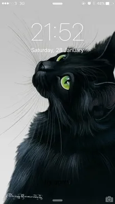Черная кошка с зелеными глазами порода - картинки и фото koshka.top