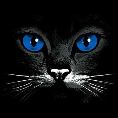 Ай сгенерировал изображение милой реалистичной черной кошки-ведьмы с  голубыми глазами | Премиум Фото