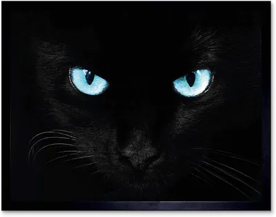 Мечтательные светящиеся ярко-зеленые глаза длинношерстной черной кошки,  вымытые голубым светом, чтобы подчеркнуть глянцевый черный мех. | Премиум  Фото