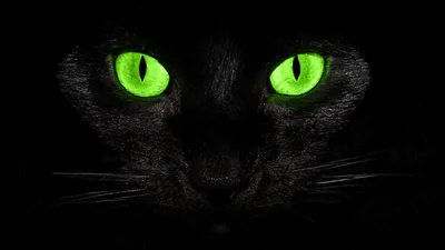 Таинственная горящая свеча в виде черной кошки с зелёными глазами для  фэнтезийной атмосферы и загадочности» — создано в Шедевруме