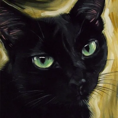 Порода черных кошек с зелеными глазами - 74 фото