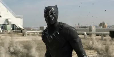 Фигурка Черная Пантера с аксессуарами оружия Black Panther Hasbro E7388 ➦  купить в интернет магазине dzhitoys.com.ua, цена 1156 грн.