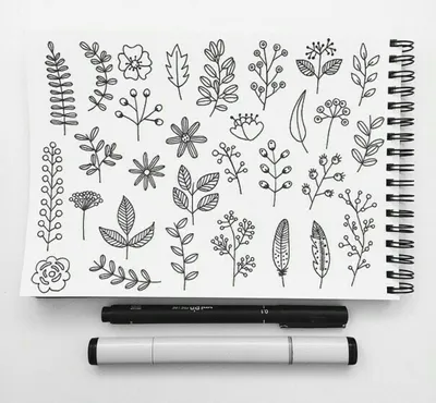 Рисунки для срисовки черной ручкой | Рисунки, Раскраски с цветами,  Ботанические рисунки