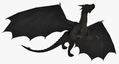 Животное черный дракон - 72 фото