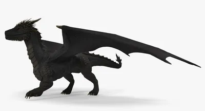 Черный Дракон | Пикабу