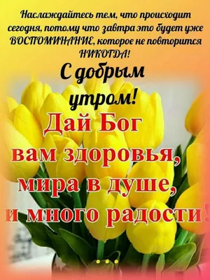 Купить Книга Воннегут К.: Бойня номер пять; Дай Вам Бог здоровья, мистер  Розуотер в Алматы – Магазин на Kaspi.kz