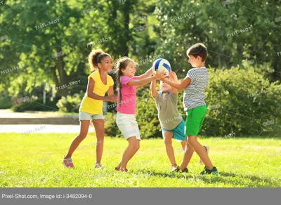 Лето: дети играют на детской площадке | Детские игровые площадки, Детские  картинки, Дети играют