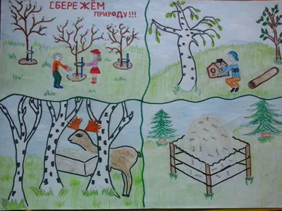 Каюры «Берингии» помогут доставить рисунки детей из камчатских сел  защитникам Донбасса