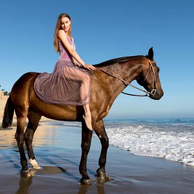 Девушка на коне | Пикабу