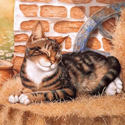 Коллекция картинок: Debbie Cook_ Кошки | Cats illustration, Cats, Cats and  kittens