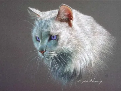 Кото-арт: картинки, рисунки, графика, фото кошек - art cats-7