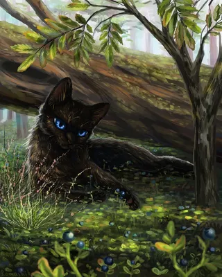 Бурый кот в лесу - 78 фото