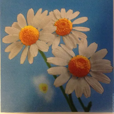 Картинки для декупажа на рисовой бумаге A4 1163 цветы кружево винтаж  Milotto | AliExpress