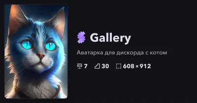 Как установить Дискорд на разные платформы: установка программы Discord