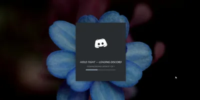 Боты для Дискорда - Discord Bot бесплатно MEE6 | Музыкальный