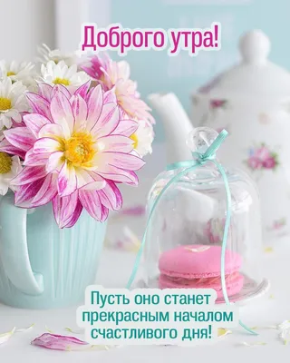 Открытки \"Доброго утра ноября!\" бесплатно (154 шт.)