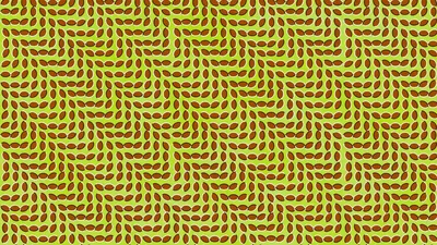 Оптическая иллюзия Оптика Глаз, хиппи, люди, симметрия, цвет png | Klipartz