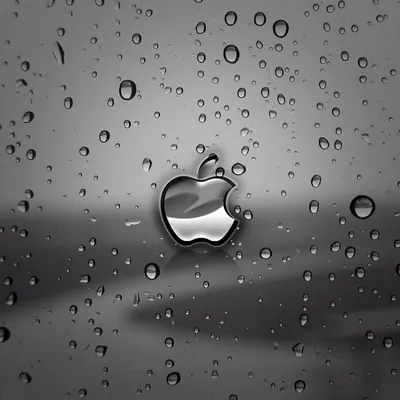 Apple Rain Ipad Wallpaper - HD iPad Wallpapers 4k iPad Wallpapers 5k free  download iPad Pro,iPad Mini,iPad Air,iOS,iPadOS,Parallax,iPad retina  Wallpapers