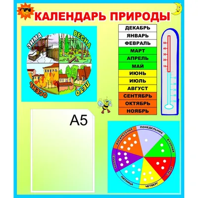 Купить стенд календарь природы С карточками Чисел, Дней Недели, Месяцев,  цены на Мегамаркет | Артикул: 100024292518