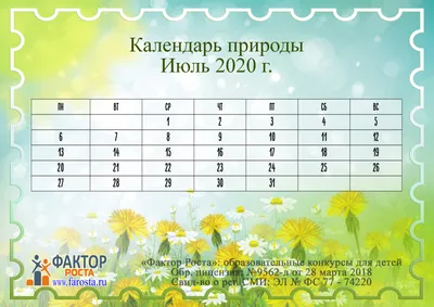 Календарь природы с ромашками - Topdekor.by