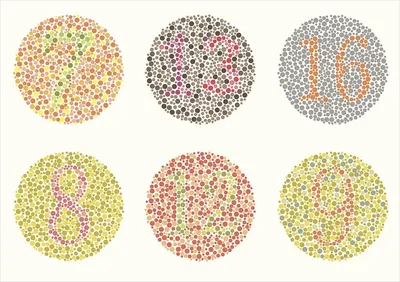 Таблица Рабкина с ответами — тест на цветоощущение