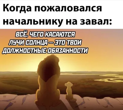 6 причин для хорошего настроения учителя | Что творится в школе | Дзен