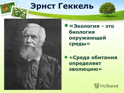 Республиканский центр экологии и краеведения » Республиканский конкурс  экологических проектов «Зеленая школа»