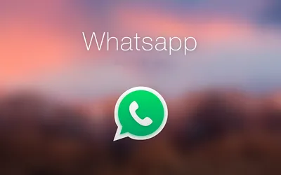 Как прикрепить ссылку на WhatsApp к профилю в Instagram? Инструкция | Блог  агентства Ирсиб