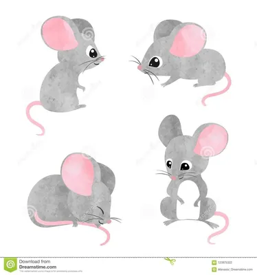 Раскраска мышка раскраски. как нарисовать мышку