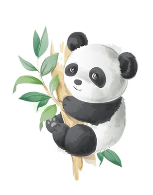 Панда на дереве рисунок - 78 фото