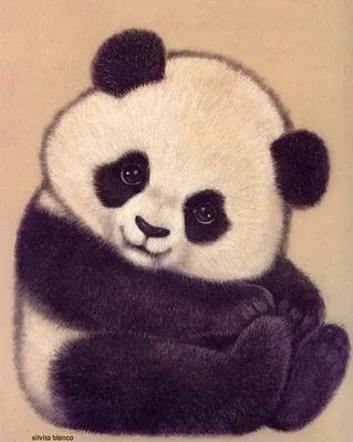 Легкие рисунки панды - 68 фото