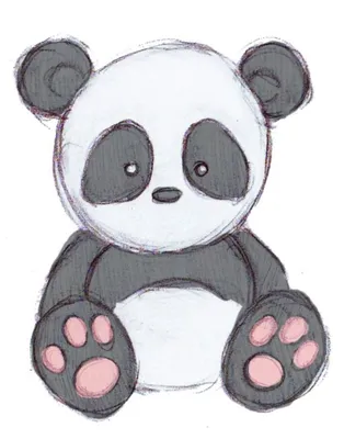 Легкие рисунки для срисовки панда - 76 фото