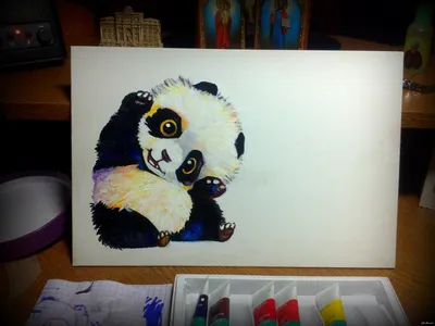 Картинки для срисовки карандашом панды