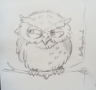 Сова карандашом owl in pencil | Рисунок совы, Рисунки животных, Эскизы  животных