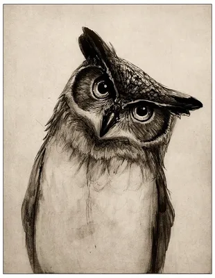 Детский рисунок совы легко (47 фото) » рисунки для срисовки на Газ-квас.ком