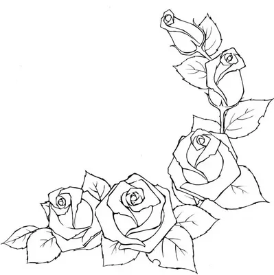 Как нарисовать цветы карандашом поэтапно? Рисуем цветы легко и просто |  Рисунки для срисовки – смотреть онлайн все 2 видео от Как нарисовать цветы  карандашом поэтапно? Рисуем цветы легко и просто |