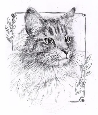 Рисунки карандашом животные для скетчбука (53 фото) 🔥 Прикольные картинки  и юмор